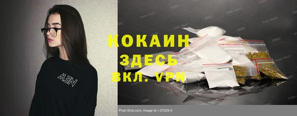индика Алзамай