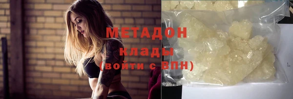 индика Алзамай