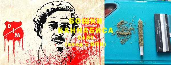индика Алзамай