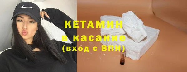 индика Алзамай