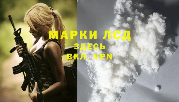 индика Алзамай